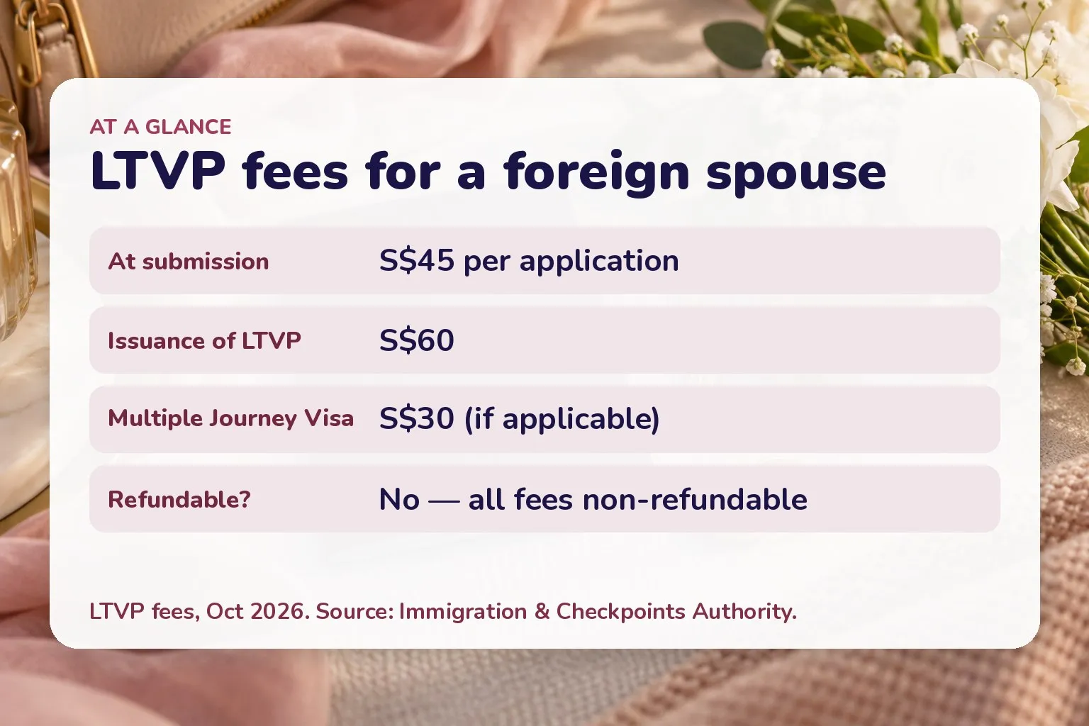 Card listing LTVP fees: S$45 per application at submission, S$60 issuance, S$30 Multiple Journey Visa if applicable, all non-refundable